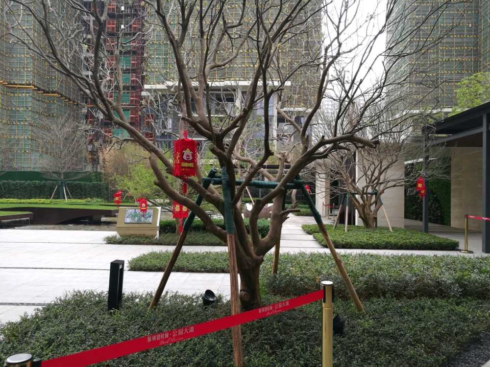 实景图