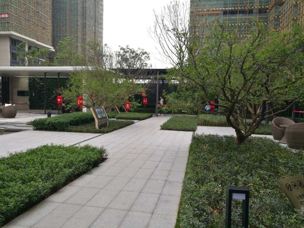 实景图