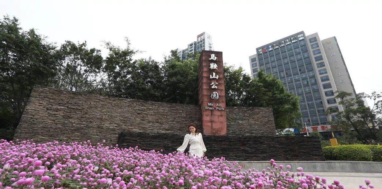 实景图
