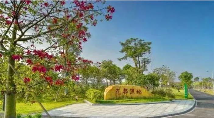 实景图